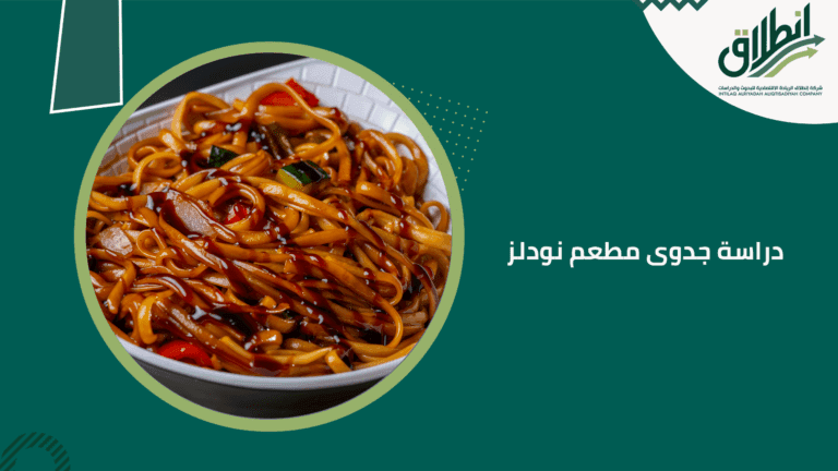 دراسة جدوى مطعم نودلز