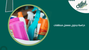 دراسة جدوى معمل منظفات