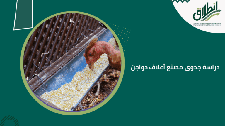 دراسة جدوى مصنع أعلاف دواجن