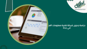 دراسة جدوى شركة تقنية معلومات pdf في جدة