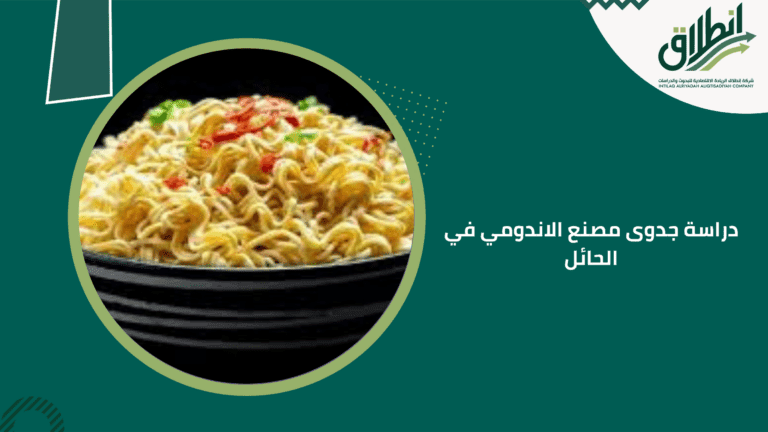 دراسة جدوى مصنع الاندومي في الحائل