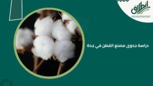 دراسة جدوى مصنع القطن في جدة