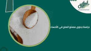 دراسة جدوى مصنع الملح في الأحساء