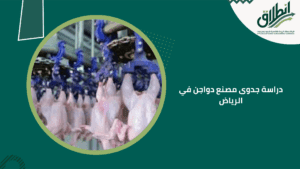 دراسة جدوى مصنع دواجن في الرياض