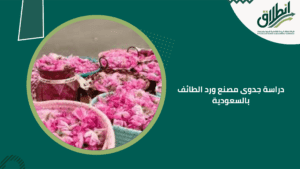 دراسة جدوى مصنع ورد الطائف بالسعودية