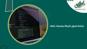 دراسة جدوى شركة برمجيات بأبها