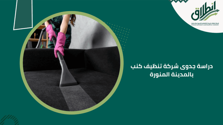 دراسة جدوى شركة تنظيف كنب بالمدينة المنورة