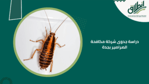 دراسة جدوى شركة مكافحة الصراصير بجدة