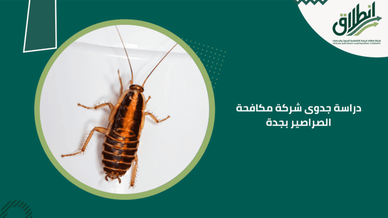 دراسة جدوى شركة مكافحة الصراصير بجدة